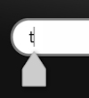 Text Field with Letter t and Cursor